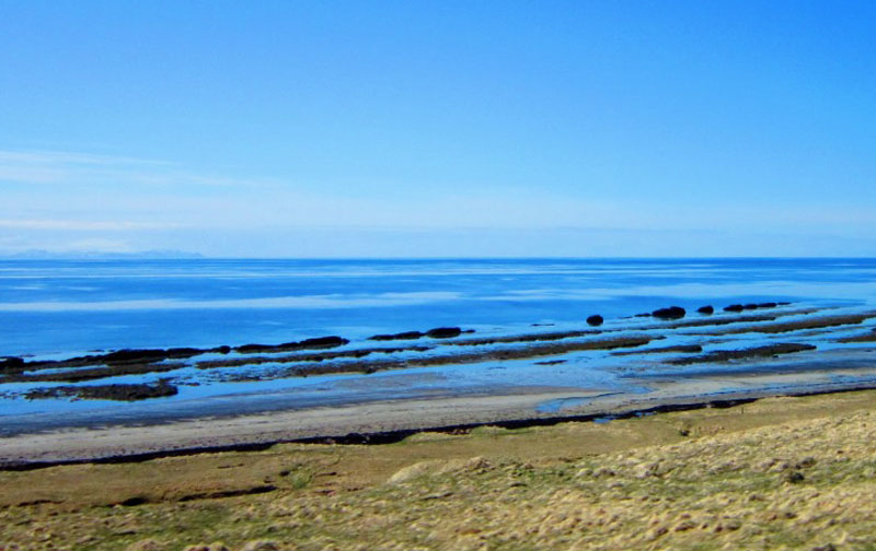 splendid-combination_2